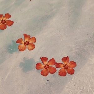 Meet your Posher, Riley